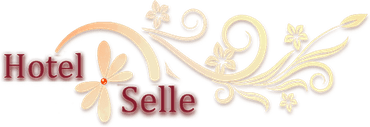 Hotel Selle am Wald logo